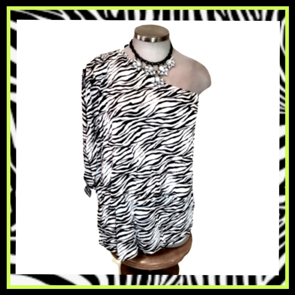 Sexy zebra Striped Two-piece Set, Long Sleeve Button Shirt & Slim High Waist Skirt main image 1